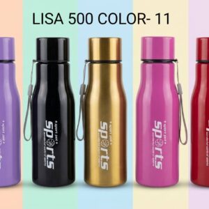 Steel Bottle Sports 500ML (Color)