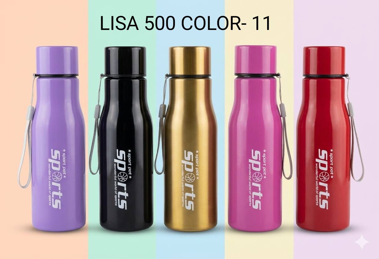 Steel Bottle Sports 500ML (Color)